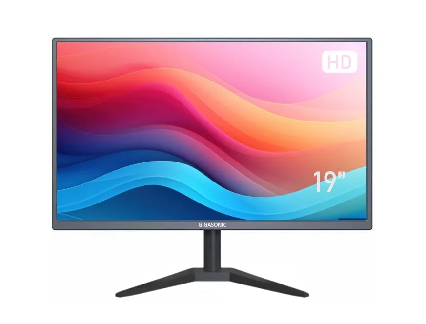 GIGASONIC 19" HD LED COMPUTER MONITOR